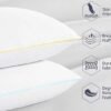 Feather_Pillow_Best_Rate_Decembery_Offer