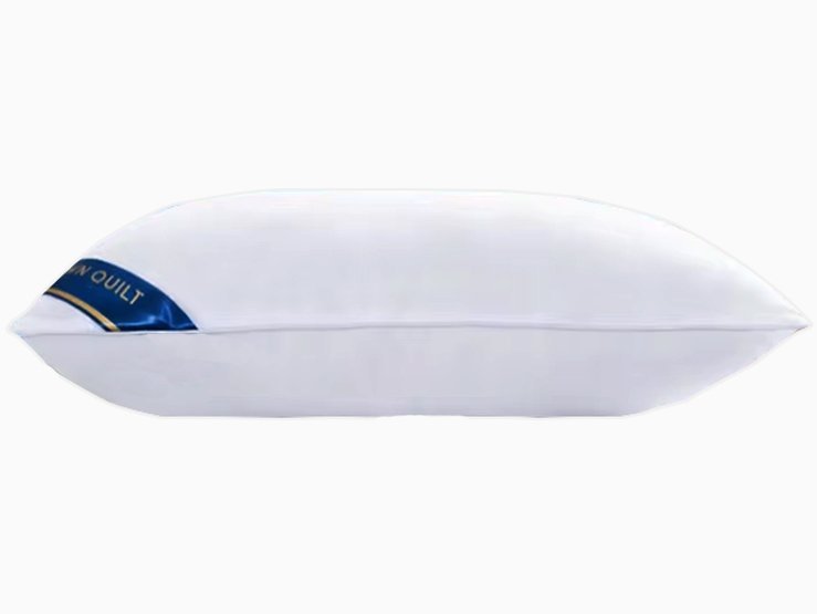 Memory Microfiber Pillow